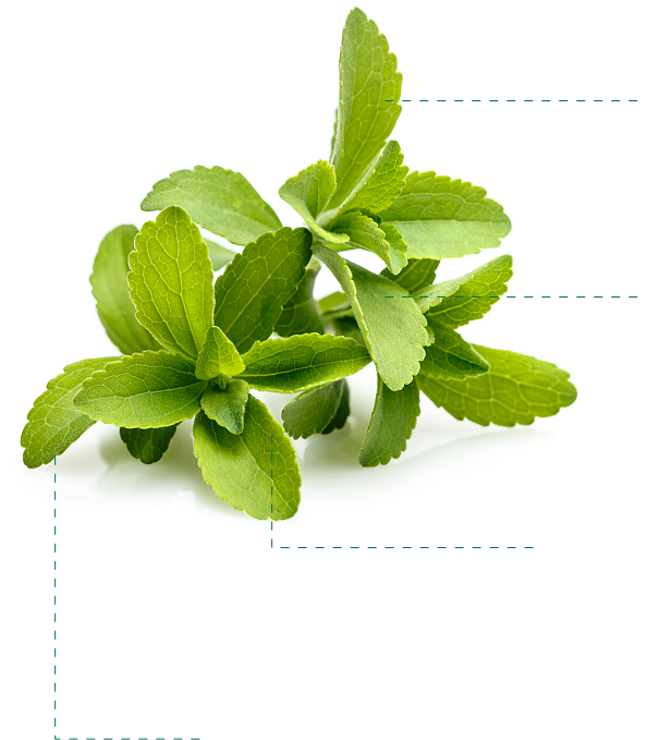 Natural sweeteners stevia Reb-M.png